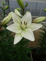 [5072 Richmond No01.JPG]